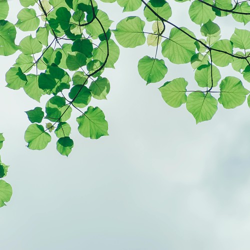 Vorschaubild des Beitrags Schließzeiten